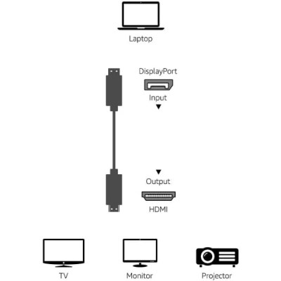 Cable Display Port Vers HDMI 1.8M _ RS-DPHDMI1.8M-3